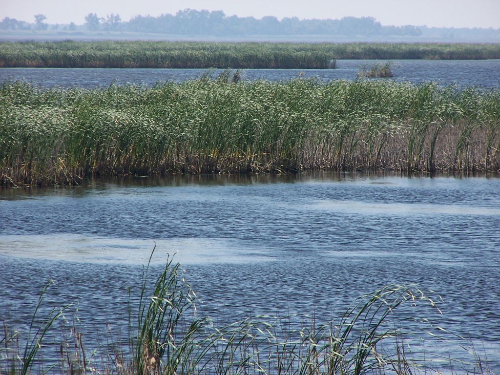 Wetlands in South Dakota